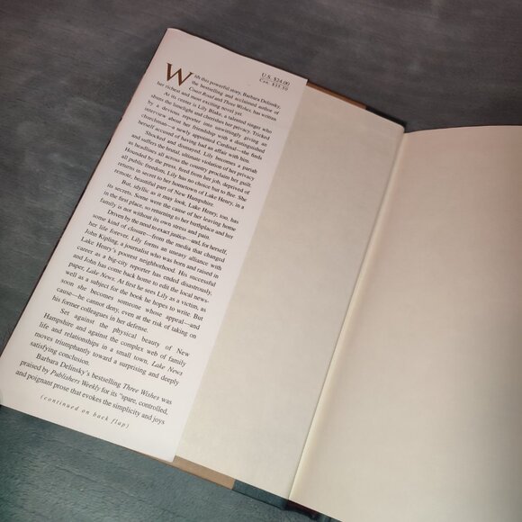 Book Lake News Barbara Delinsky Bestseller Novel self discovery justice life - Picture 4 of 8